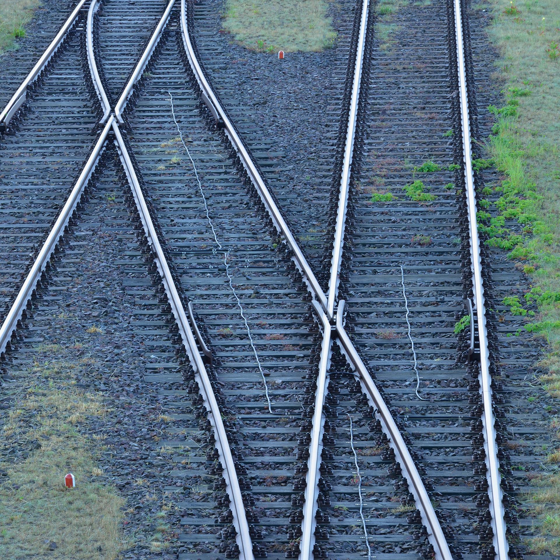 Bahngleise mit Weiche auf schwarzen Schotter, dazwischen wächst teilweise Gras