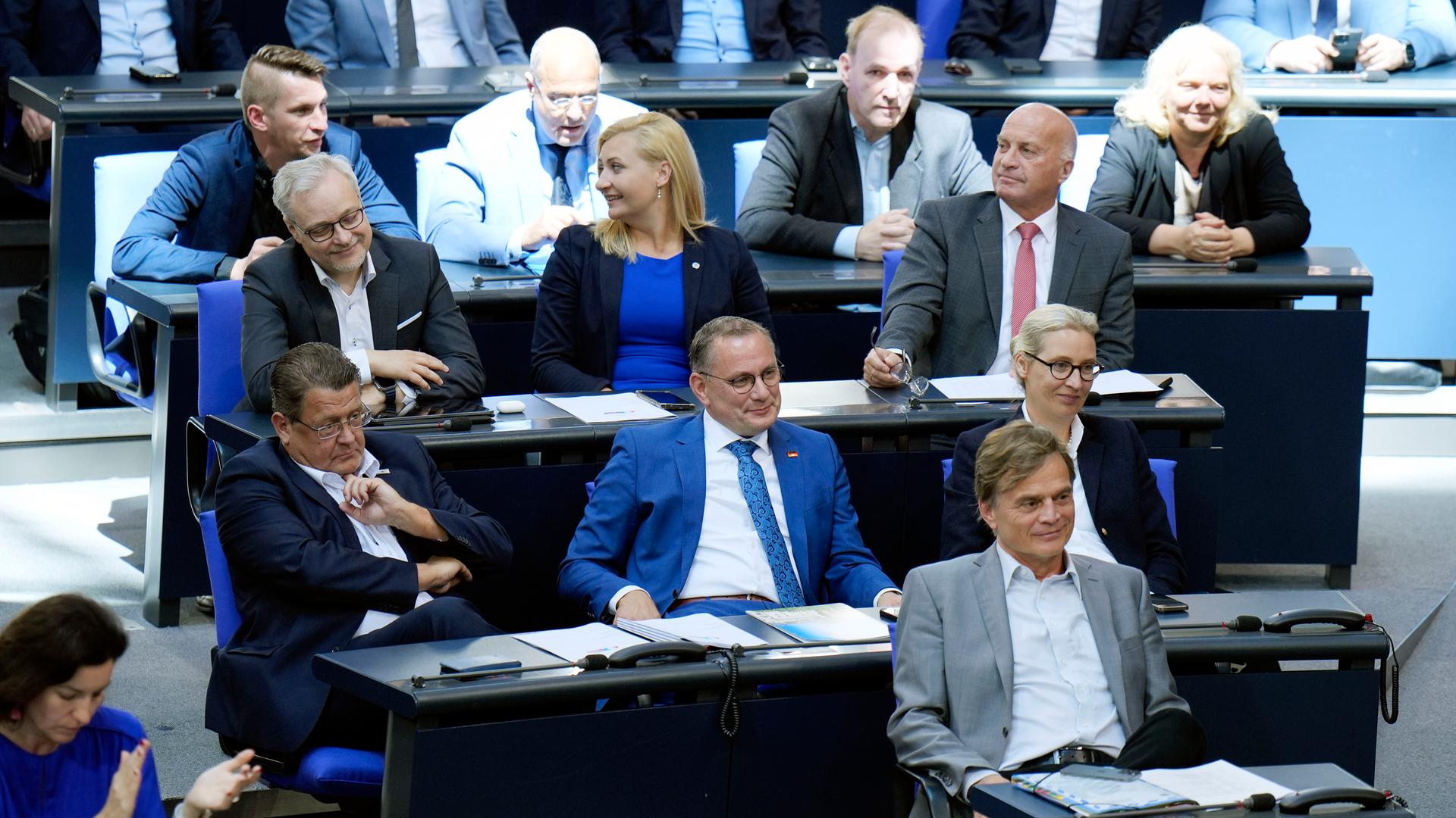 Die Fraktion der AfD während einer Sitzung im Bundestag.