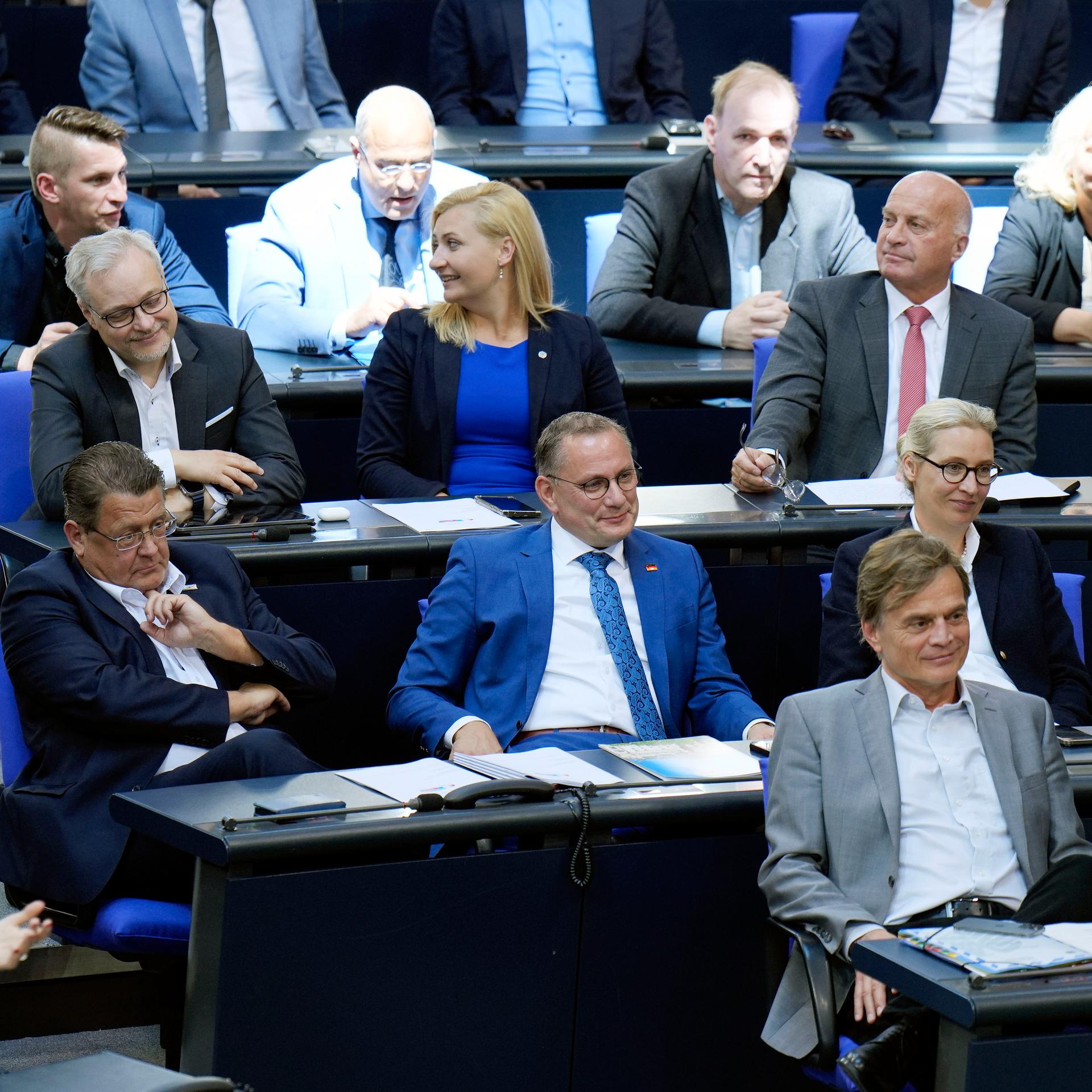 Die Fraktion der AfD während einer Sitzung im Bundestag.
