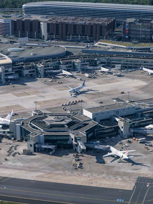 Blick von oben: Verschiedene Flugzeuge stehen an den Gates des Flughafens Frankfurt/Main.