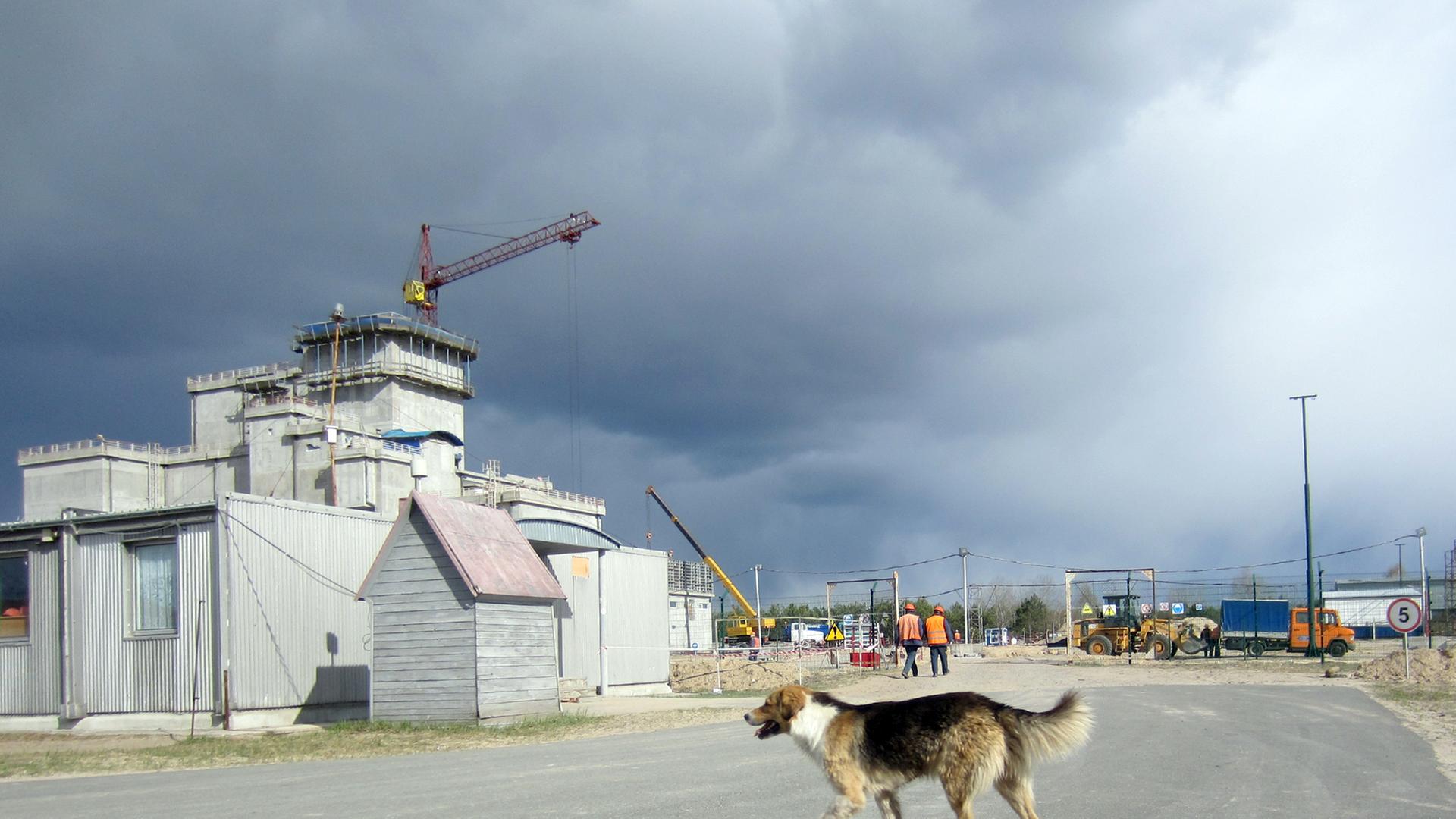 Ein Hund überquert am 22.04.2015 die StraÃe vor der Baustelle des Zwischenlagers für den in den drei stillgelegten Blöcken des Kernkraftwerks Tschernobyl verbrauchten Brennstoff in Prypjat, Ukraine. Foto: Andreas Stein/dpa (zu dpa Â«Â«StaatsgeheimnisÂ» Atommüll: Ukraine baut Zwischenlager in TschernobylÂ» vom 24.04.2015) ++