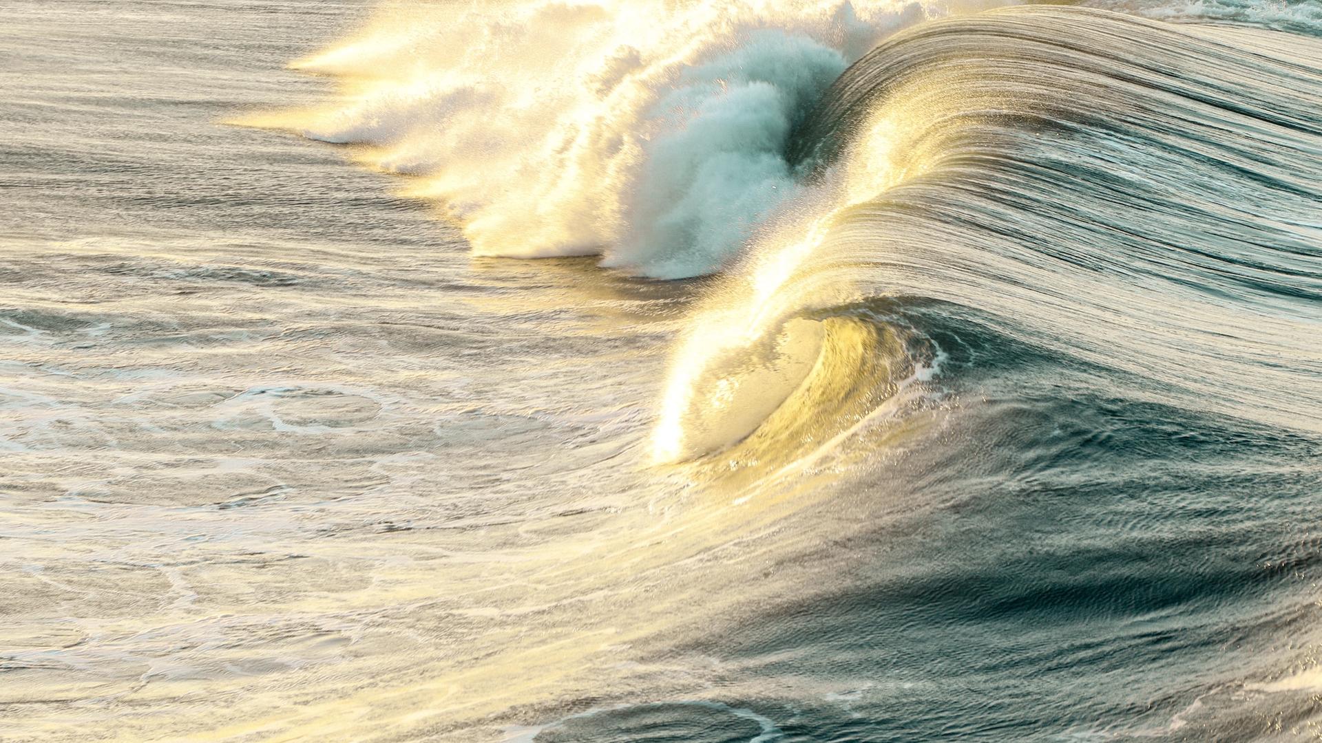 Eine sich überschlagende Welle leuchtet gelblich im Sonnenuntergang.