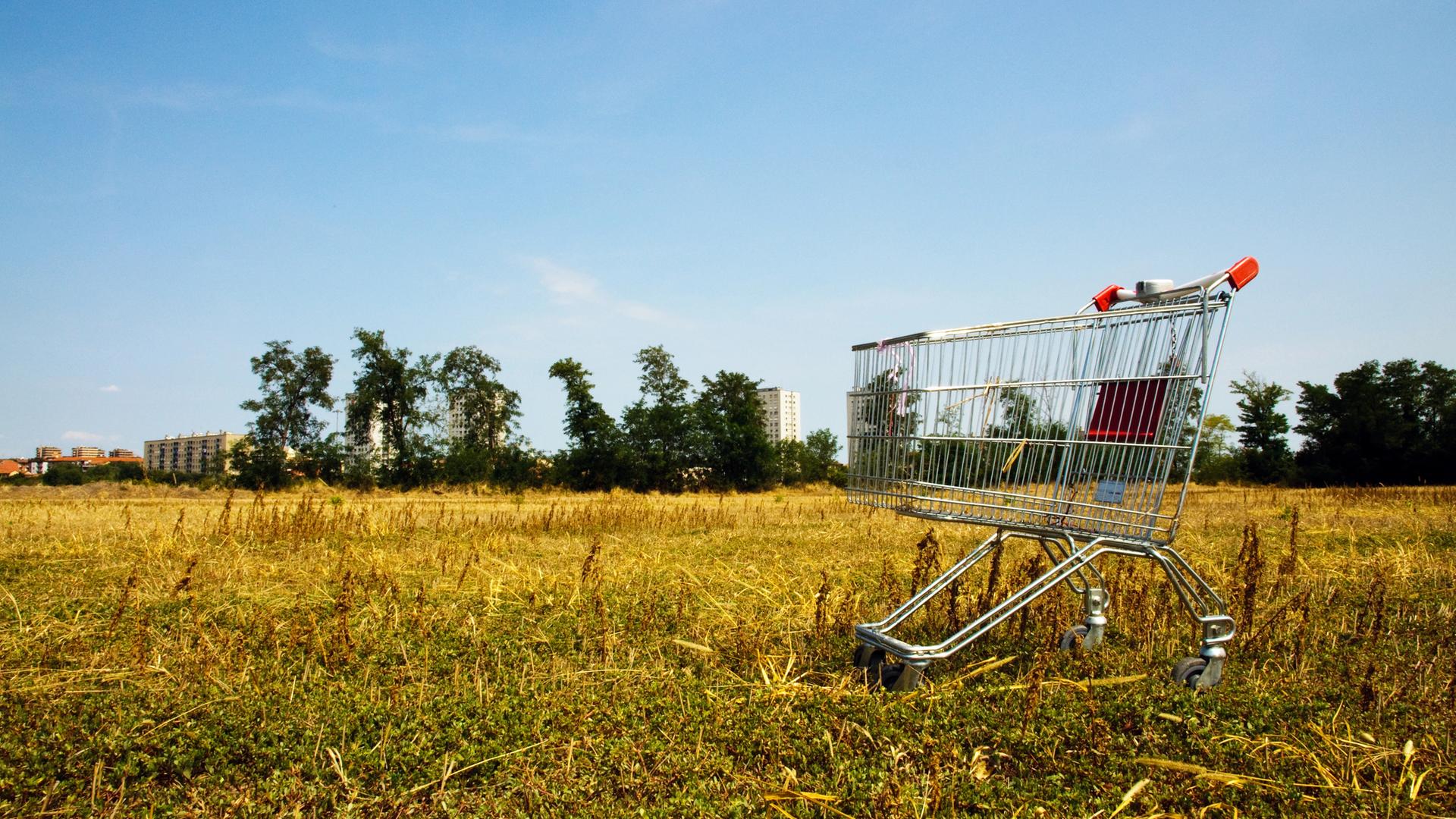 Verlassener Einkaufswagen aus einem Supermarkt inmitten eines Feldes