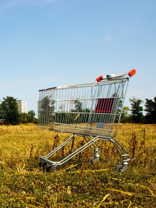 Verlassener Einkaufswagen aus einem Supermarkt inmitten eines Feldes