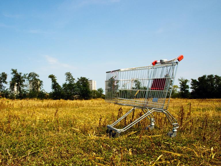 Verlassener Einkaufswagen aus einem Supermarkt inmitten eines Feldes