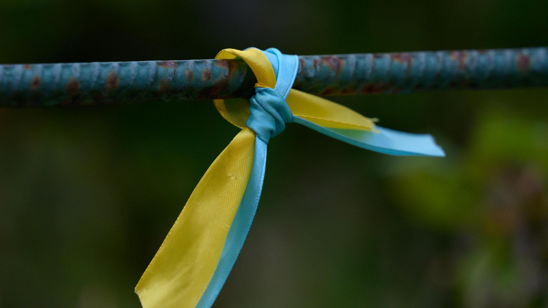 Ein Seidenband in den Nationalfarben der Ukraine Blau und Gelb ist an die Metallstange eines Zauns geknotet. Ein Seidenband in den Nationalfarben der Ukraine Blau und Gelb ist an die Metallstange eines Zauns geknotet.