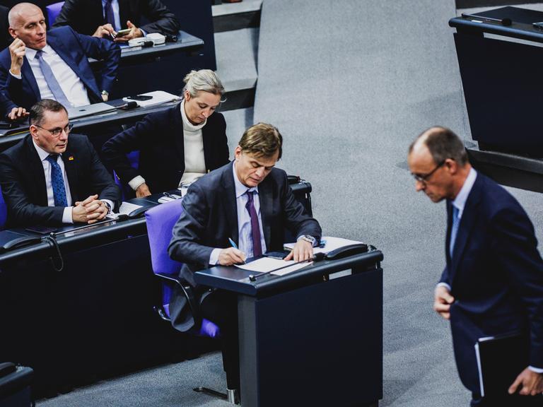 Friedrich Merz, CDU-Parteivorsitzender, und die AfD-Fraktion, aufgenommen im Rahmen der Sitzung des Deutschen Bundestages mit der Regierungserklaerung des Bundeskanzlers zu aktuellen innenpolitischen Themen in Berlin, 29.01.2025.