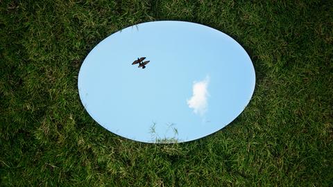 Auf dem Rasen liegt ein ovaler Spiegel, in dem der Himmel und ein fliegender Vogel zu sehen sind.