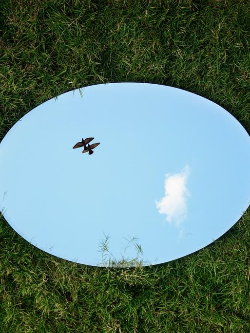 Auf dem Rasen liegt ein ovaler Spiegel, in dem der Himmel und ein fliegender Vogel zu sehen sind.