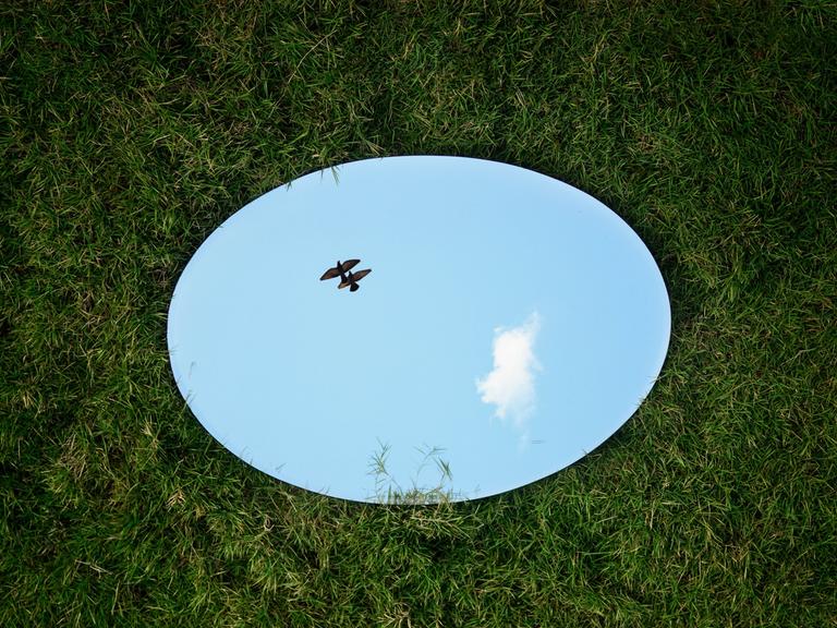 Auf dem Rasen liegt ein ovaler Spiegel, in dem der Himmel und ein fliegender Vogel zu sehen sind.