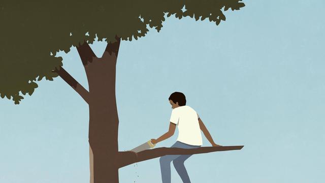 Illustration: Ein Junge mit einer Säge schneidet den Ast ab, auf dem er sitzt