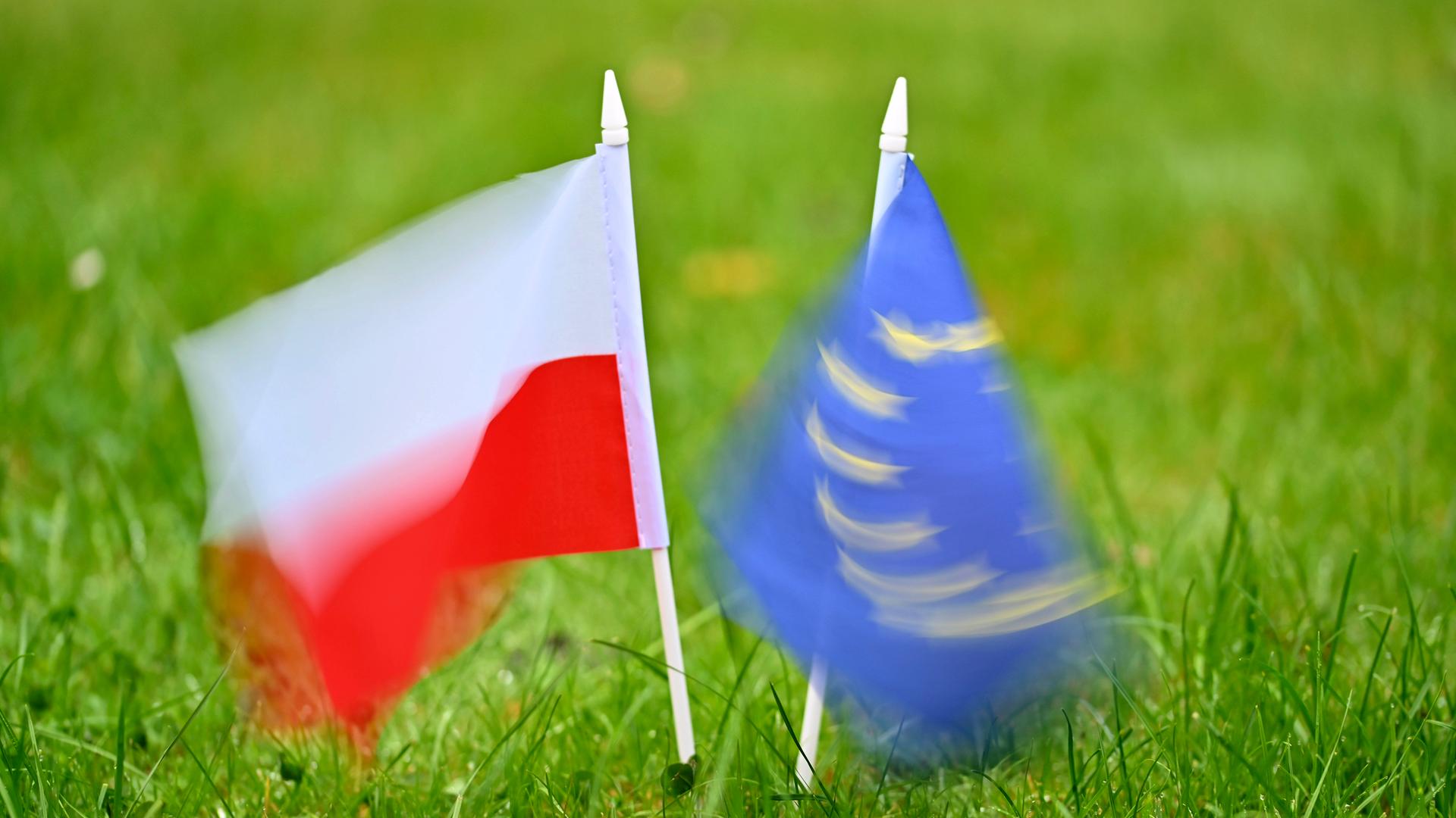 Ein polnische Flagge und eine EU-Flagge stecken nebeneinander im Rasen. Sie bewegen sich. Ein polnische Flagge und eine EU-Flagge stecken nebeneinander im Rasen. Sie bewegen sich.