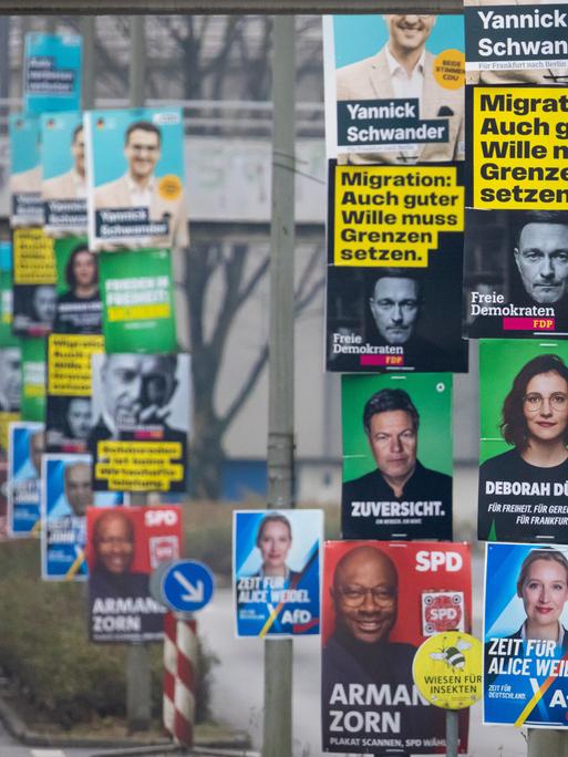 Wahlplakate der etablierten Parteien CDU, AfD, Bündnis 90/Die Grünen, SPD und FDP hängen im Frankfurter Nordwesten an mehreren Laternenmasten.