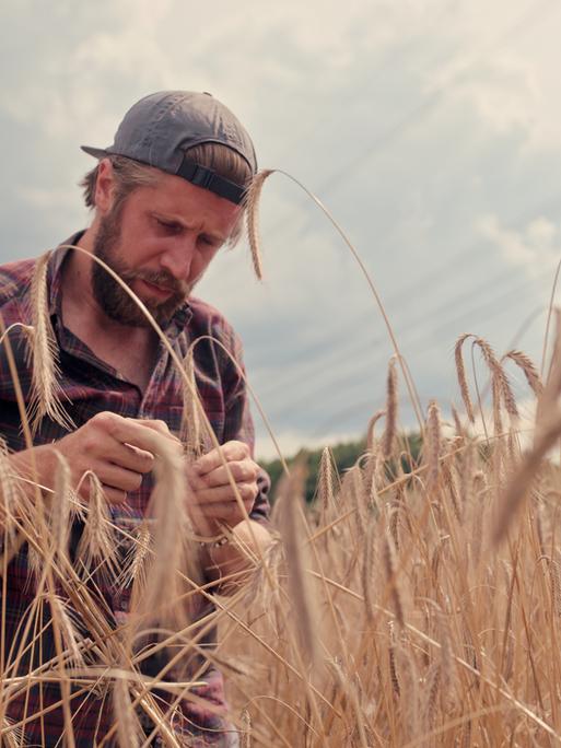 Benedikt Bösel in der Dokumentation "Farm Rebellion". Der Landwirt sitzt in einem Feld und betrachtet Weizenähren. 