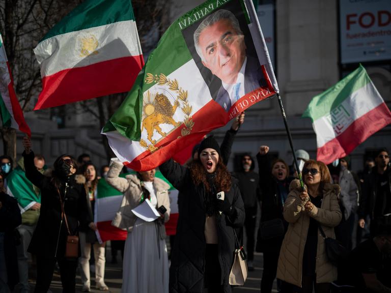 Mehrere Menschen halten grün-weiß-rote iranische Flaggen ohne das Emblem der Islamischen Republik hoch. In der Bildmitte trägt eine Person eine Fahne mit einem Porträt von Reza Pahlavi, dem Sohn des 1979 gestürzten Schahs. 
