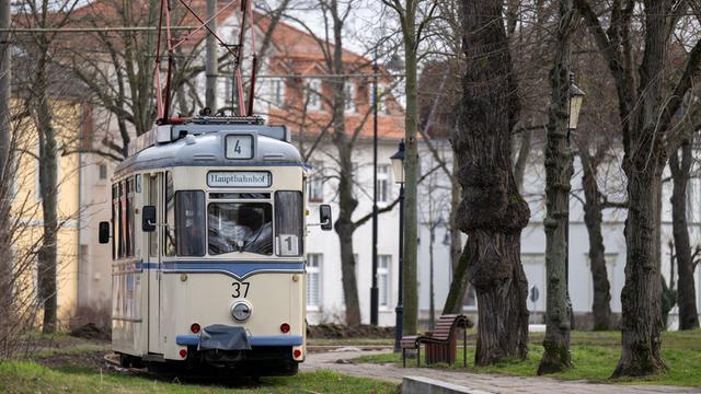 Ein Triebwagen der Straßenbahn Naumburg fährt durch die Stadt. Die Naumburger Straßenbahn, die liebevoll «Wilde Zicke» genannt wird, ist der kleinste Straßenbahnbetrieb Deutschlands.