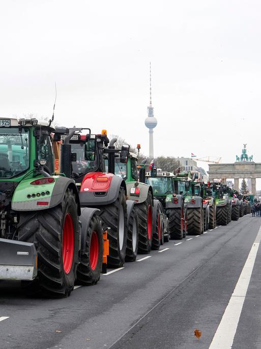 Traktoren stauen sich auf der Straße des 17. Juni in Berlin, im Hintergrund: Brandenburger Tor und Fernsehturm.