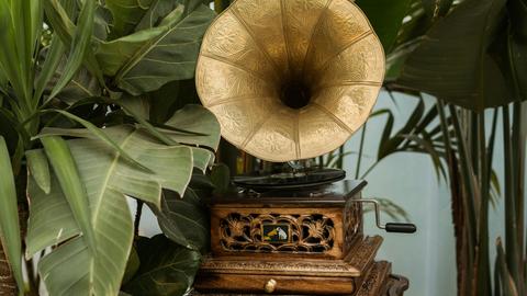 Blick auf ein Schränkchen inmitten von vielen Zimmerpflanzen, auf dem ein Grammophon mit großem Schalltrichter steht.