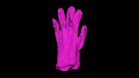 Ein Paar pinke Gumminhandschuhe auf schwarzem Grund