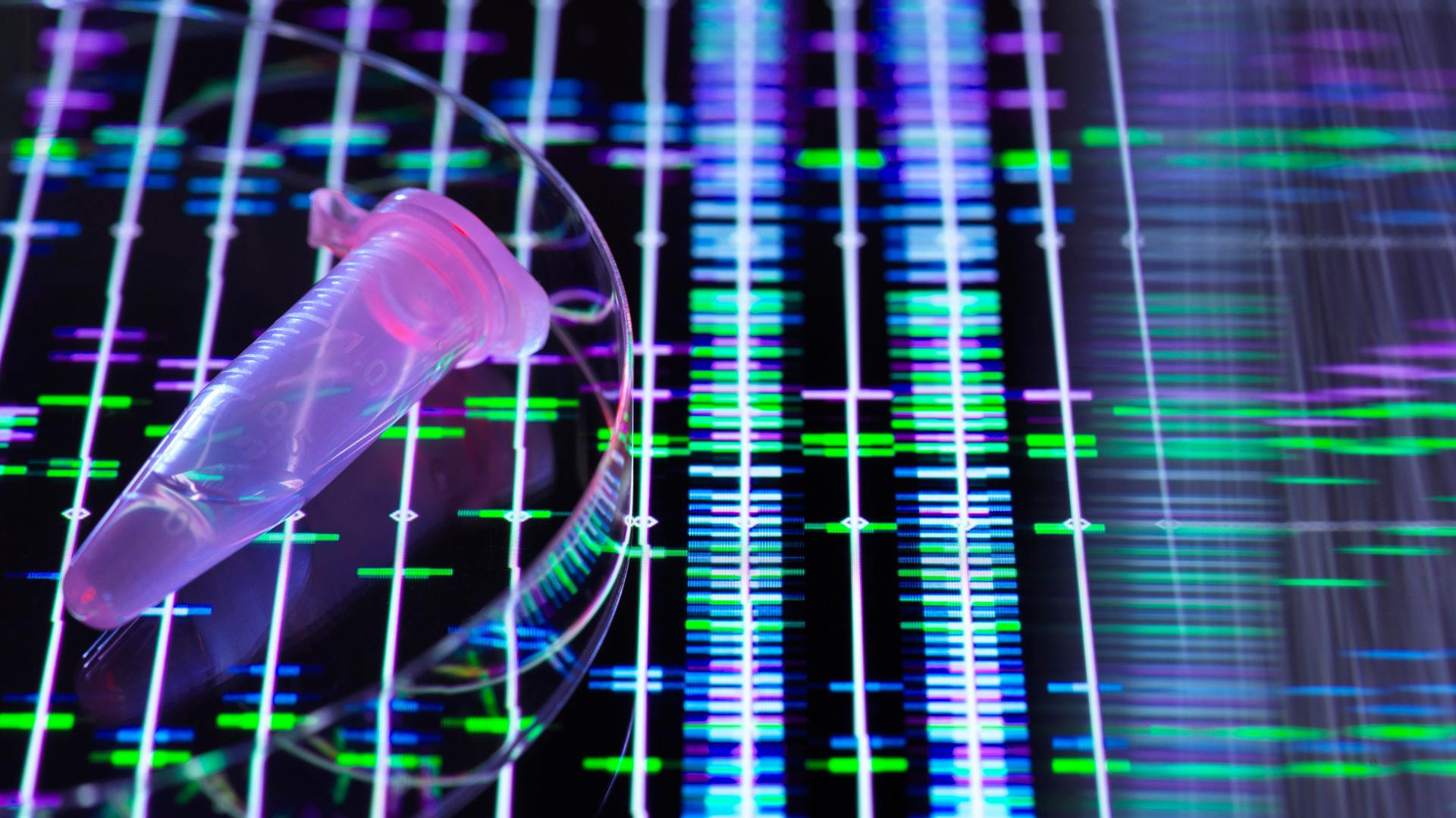 DNA-Probe über genetischen Daten auf dem Bildschirm