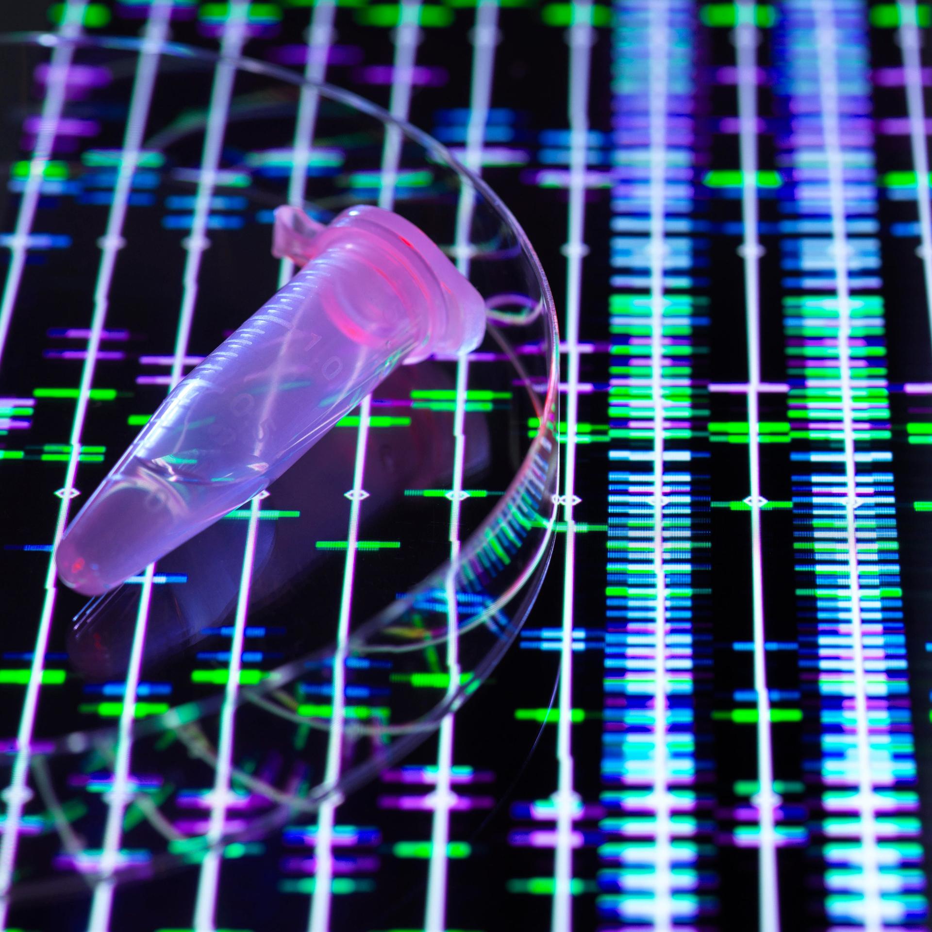 Gendiagnostik - Das Recht auf Nichtwissen