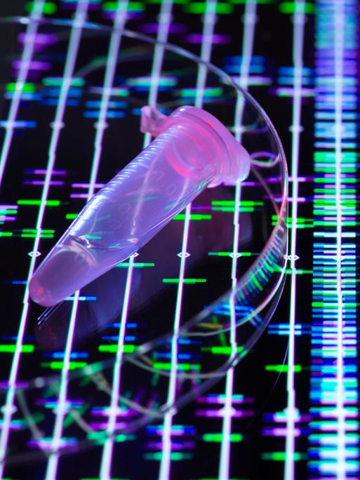 DNA-Probe über genetischen Daten auf dem Bildschirm