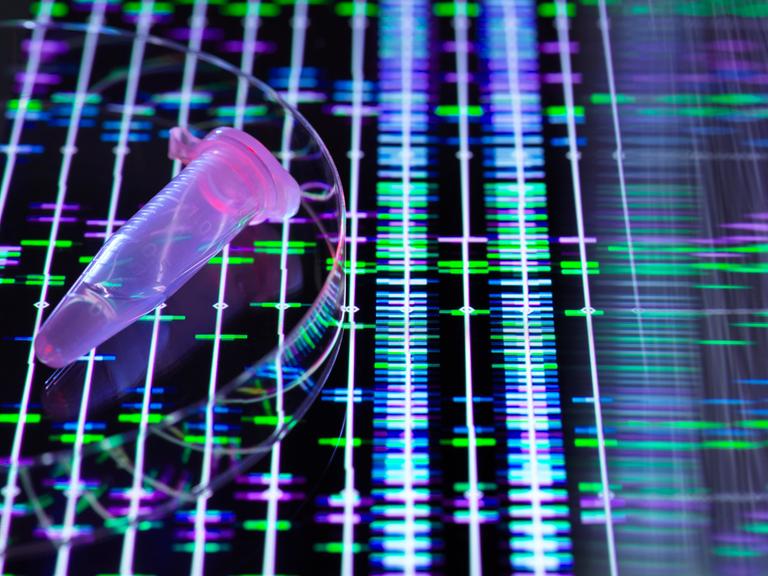 DNA-Probe über genetischen Daten auf dem Bildschirm