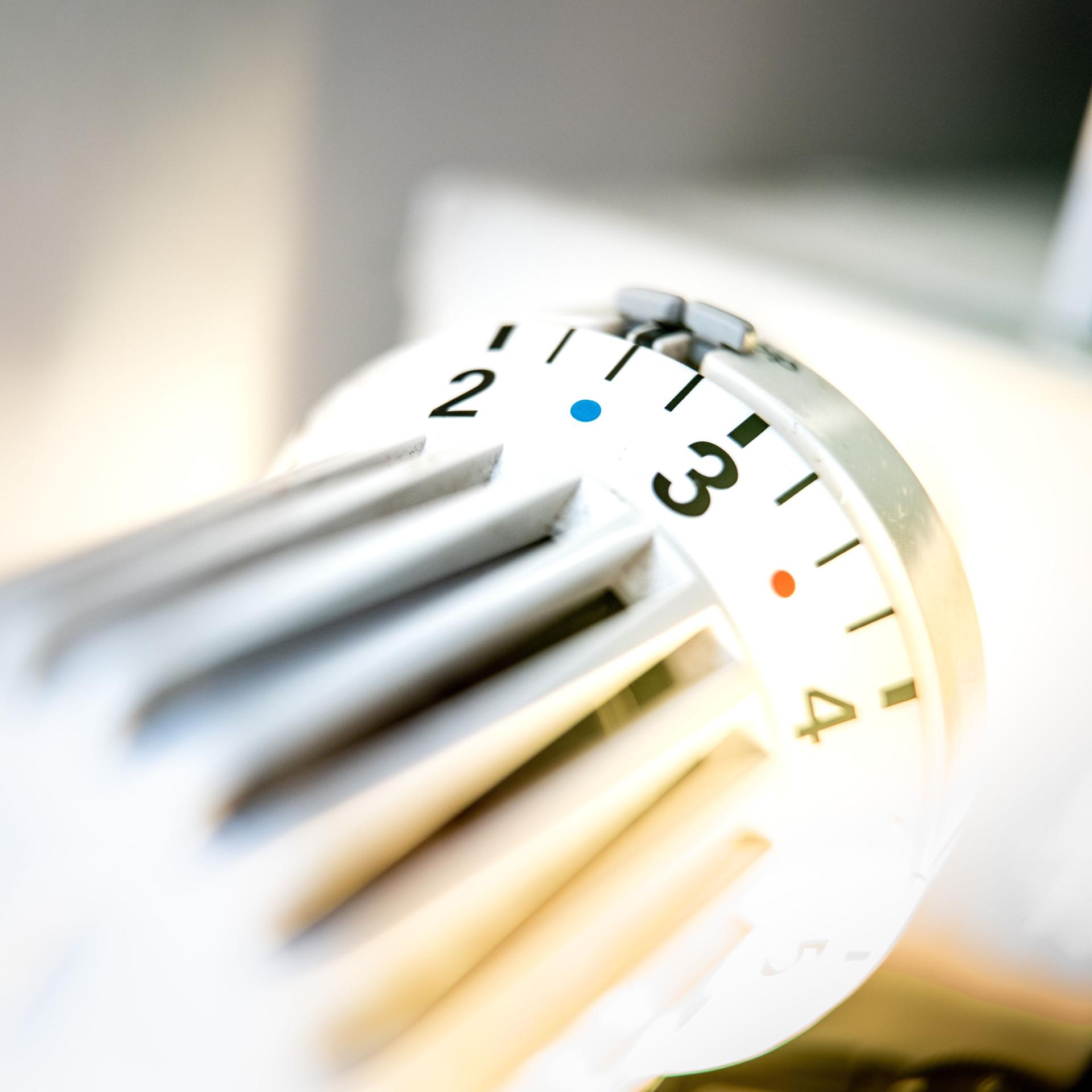 26. Februar 2026 - Die Wirtschaftspresseschau