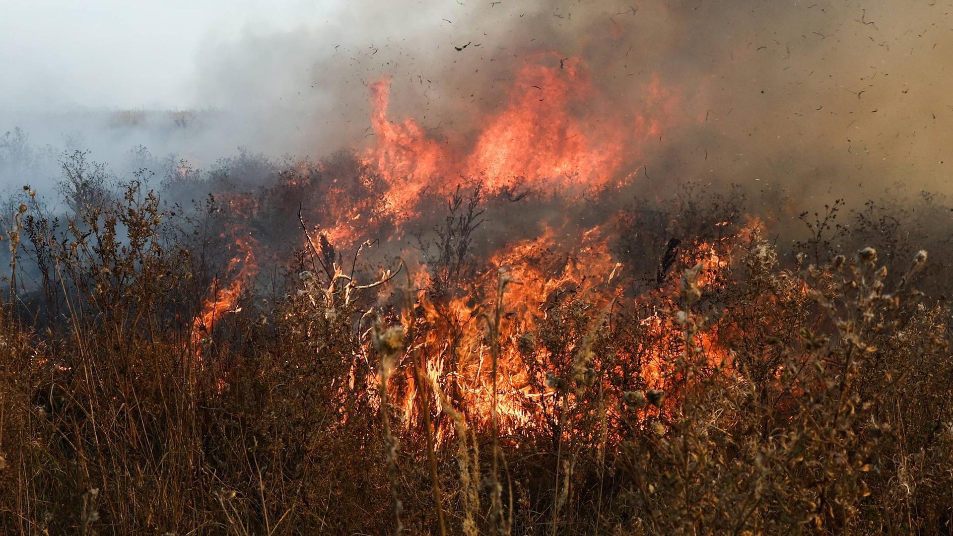 Waldbrand in Russland.