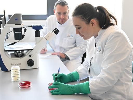 Eine Mitarbeiterin beschriftet in einem Labor des biopharmazeutischen Unternehmens Curevac Proben. Curevac arbeitet an der Entwicklung von Medikamenten auf Basis der mRNA Technologie.