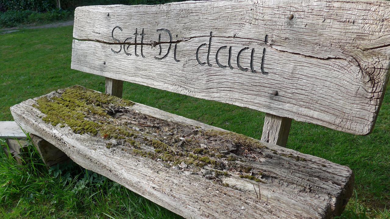 Eine hölzerne Gartenbank ist mit Moos bewachsen und in ihre Rückenlehne ist die plattdeutsche Inschrift "Sett Di daal" hineingeschnitzt. 