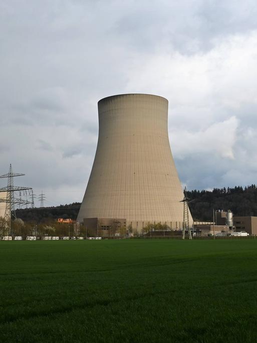 Meiler Emsland in grüner Landschaft mit dem für Atomkraftwerke charakteristischen großen, breiten Schlot.