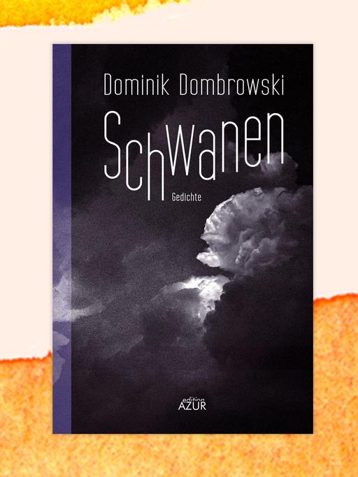Das Cover des Buches von Dominik Dombrowski, "Schwanen", auf einem orange-weißem Aquarellhintergrund. 