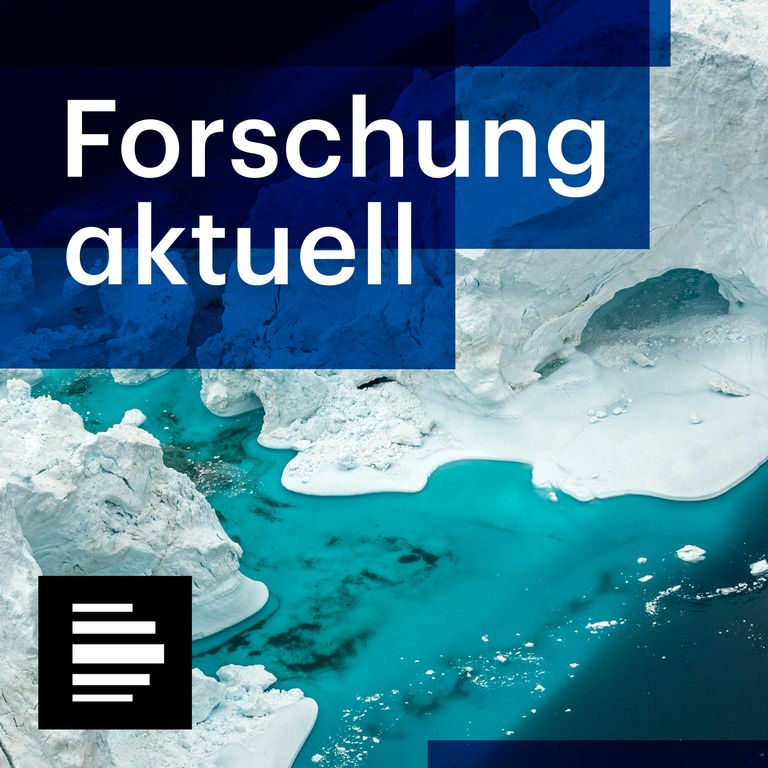Das Cover für die Sendereihe "Forschung aktuell" zeigt auf dem Meer schwimmende Eisschollen 