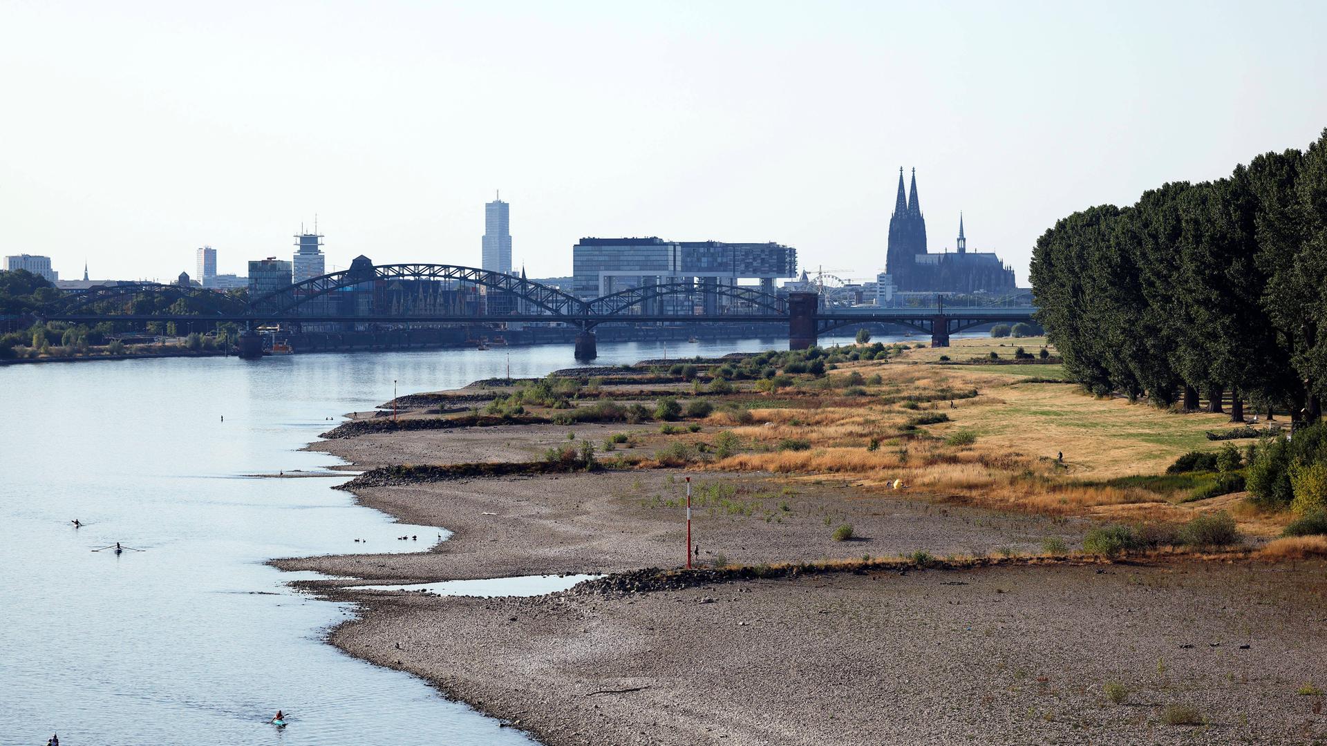 Blick auf den Rhein in Köln, mit trockenen Stellen am Ufer und einem niedrigen Pegelstand