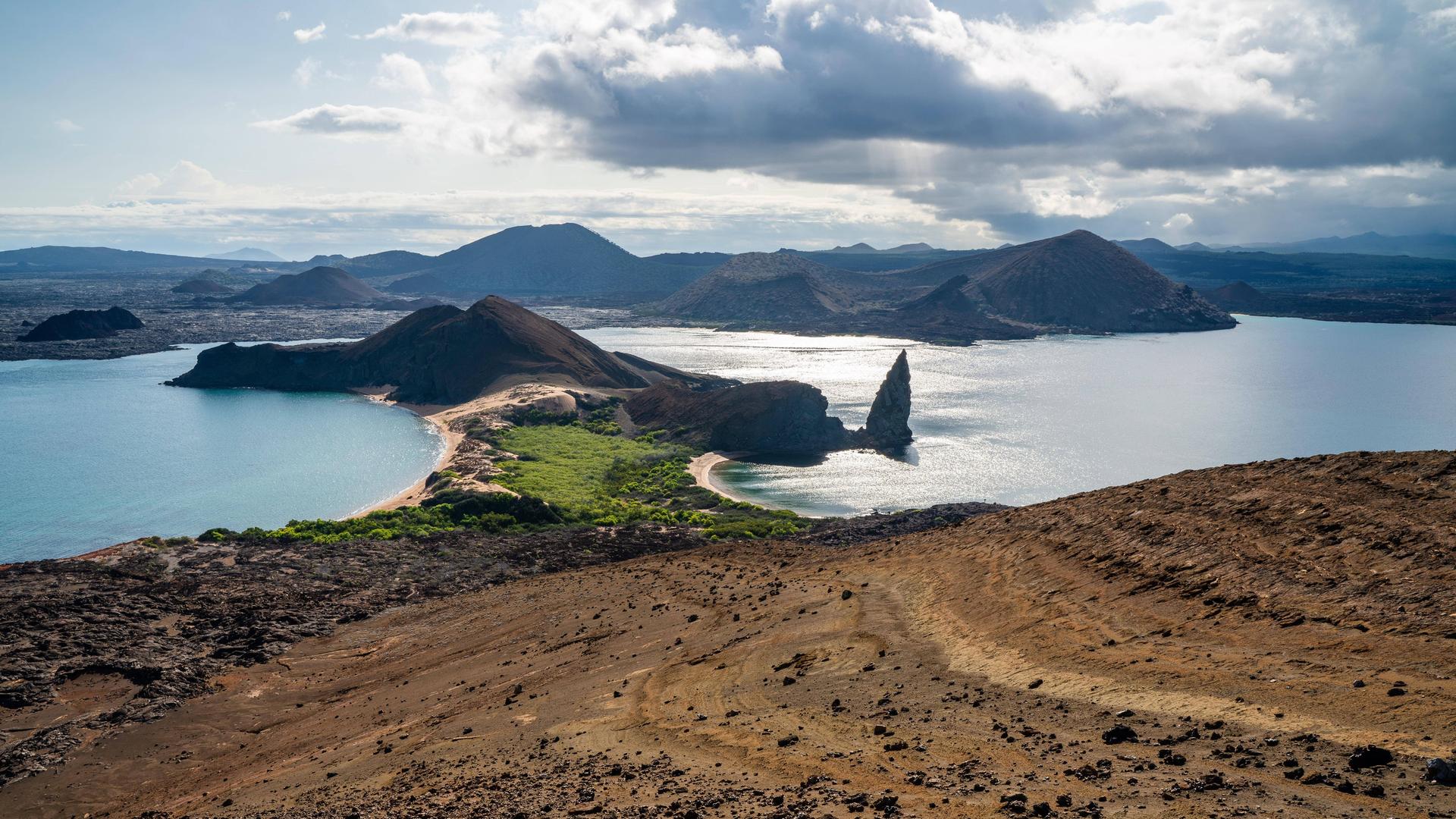 Ansicht auf Puerto Ayora auf den Galapagosinseln: Eine kleine Stadt am Meer, umgeben von Bergen.