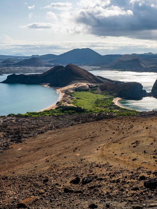 Ansicht auf Puerto Ayora auf den Galapagosinseln: Eine kleine Stadt am Meer, umgeben von Bergen.