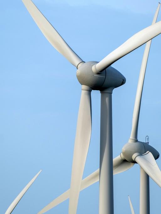 In einem Windpark stehen mehrere Windräder zur Erzeugung von Strom. Dahinter ist hellblauer Himmel zu sehen. 