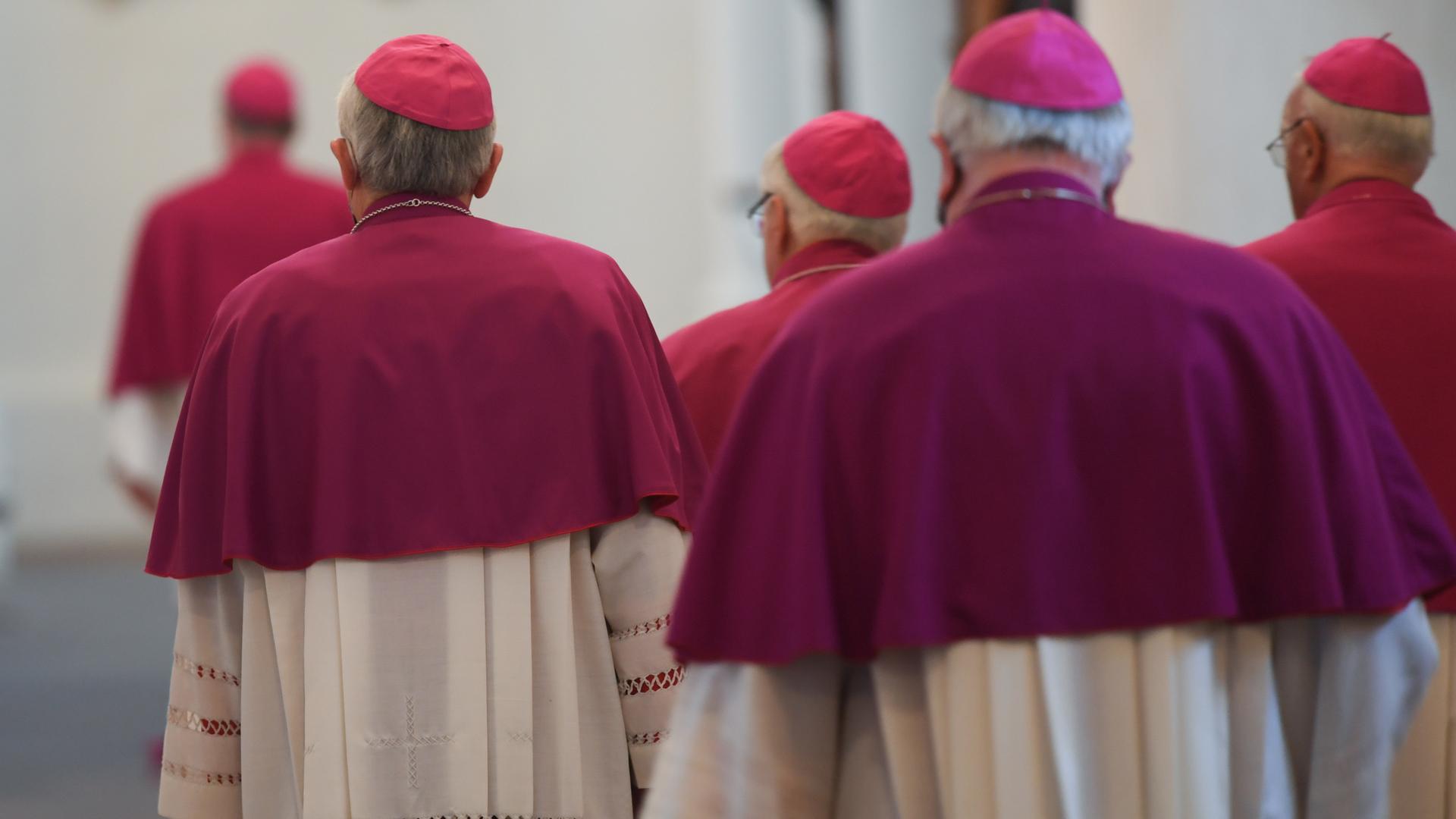 Mehrere Bischöfe in ihrem rosa-weißen Gewand von hinten.