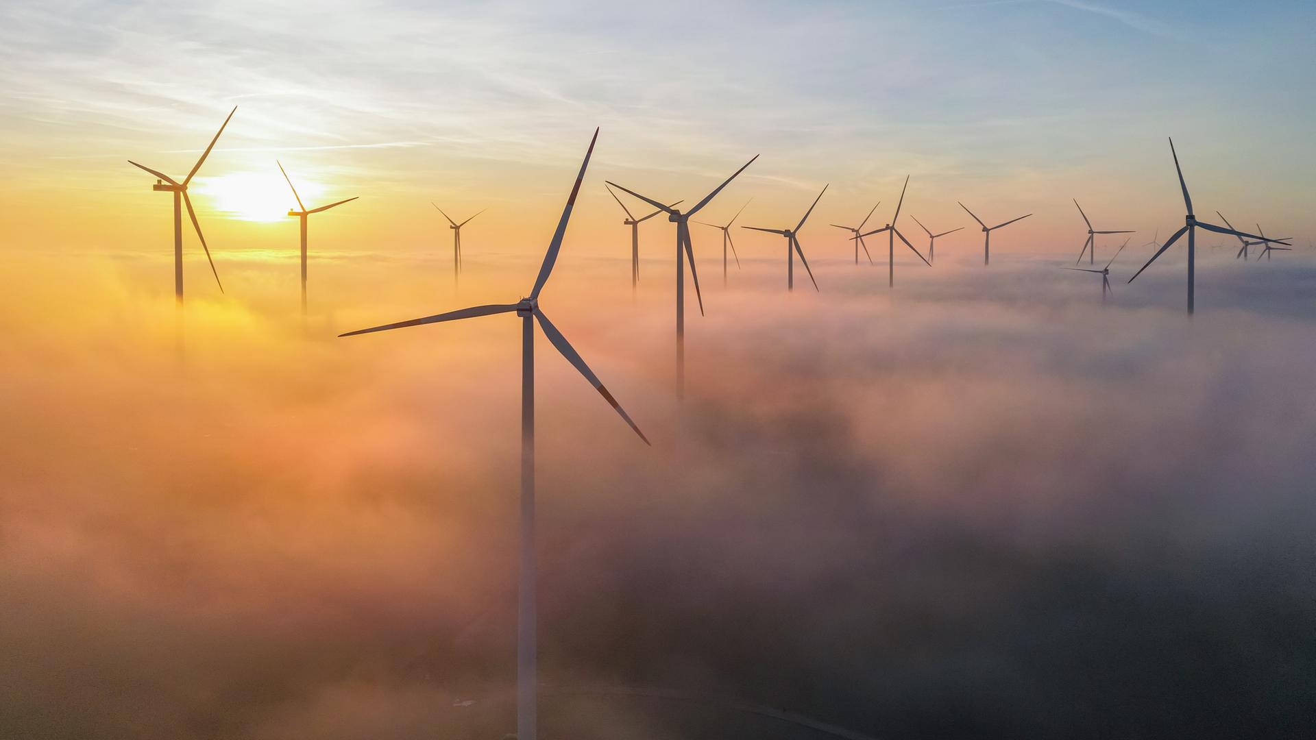 Die Morgensonne leuchtet über dem Nebel zwischen Windenergieanlagen im östlichen Brandenburg (Luftaufnahme mit einer Drohne).