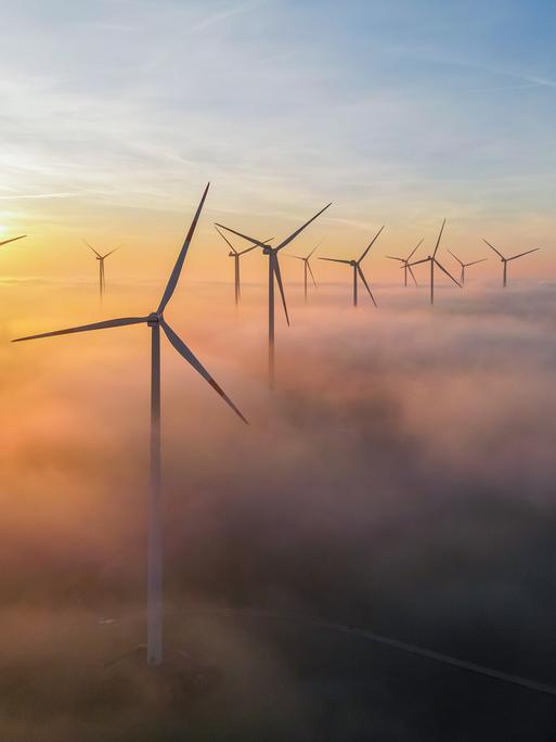 Die Morgensonne leuchtet über dem Nebel zwischen Windenergieanlagen im östlichen Brandenburg (Luftaufnahme mit einer Drohne).