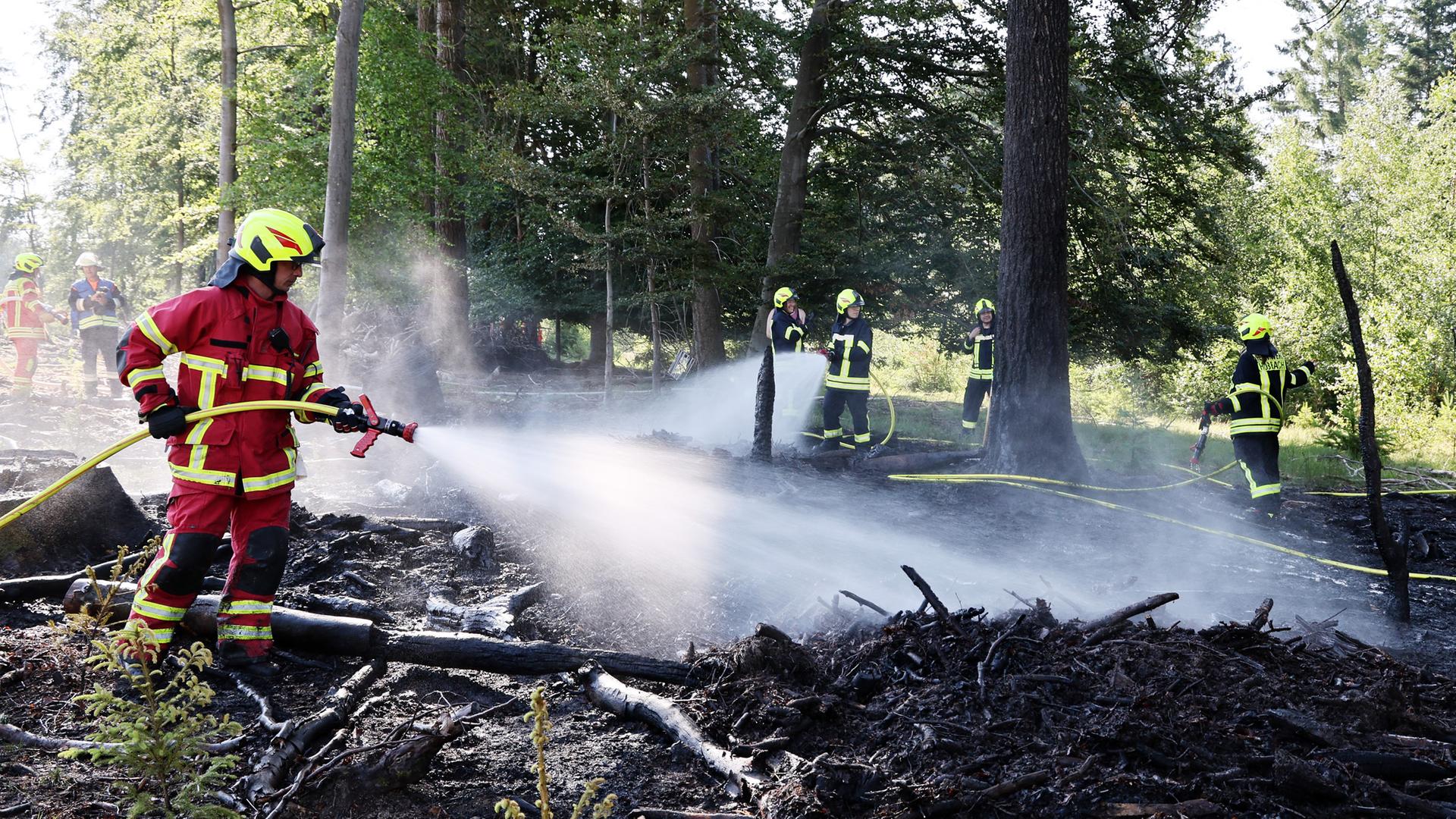 Einsatzkräfte der Feuerwehr löschen einen Waldbrand in Unterfranken. 