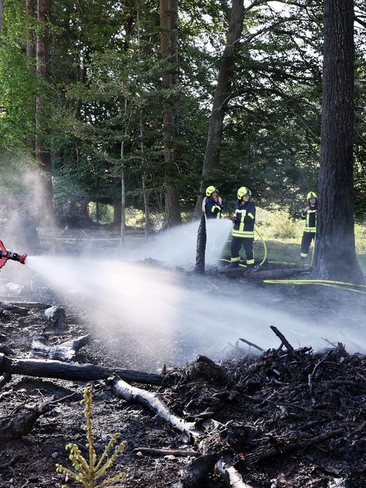 Einsatzkräfte der Feuerwehr löschen einen Waldbrand in Unterfranken. 