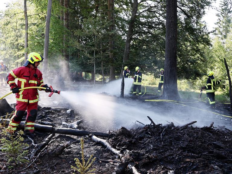 Einsatzkräfte der Feuerwehr löschen einen Waldbrand in Unterfranken. 