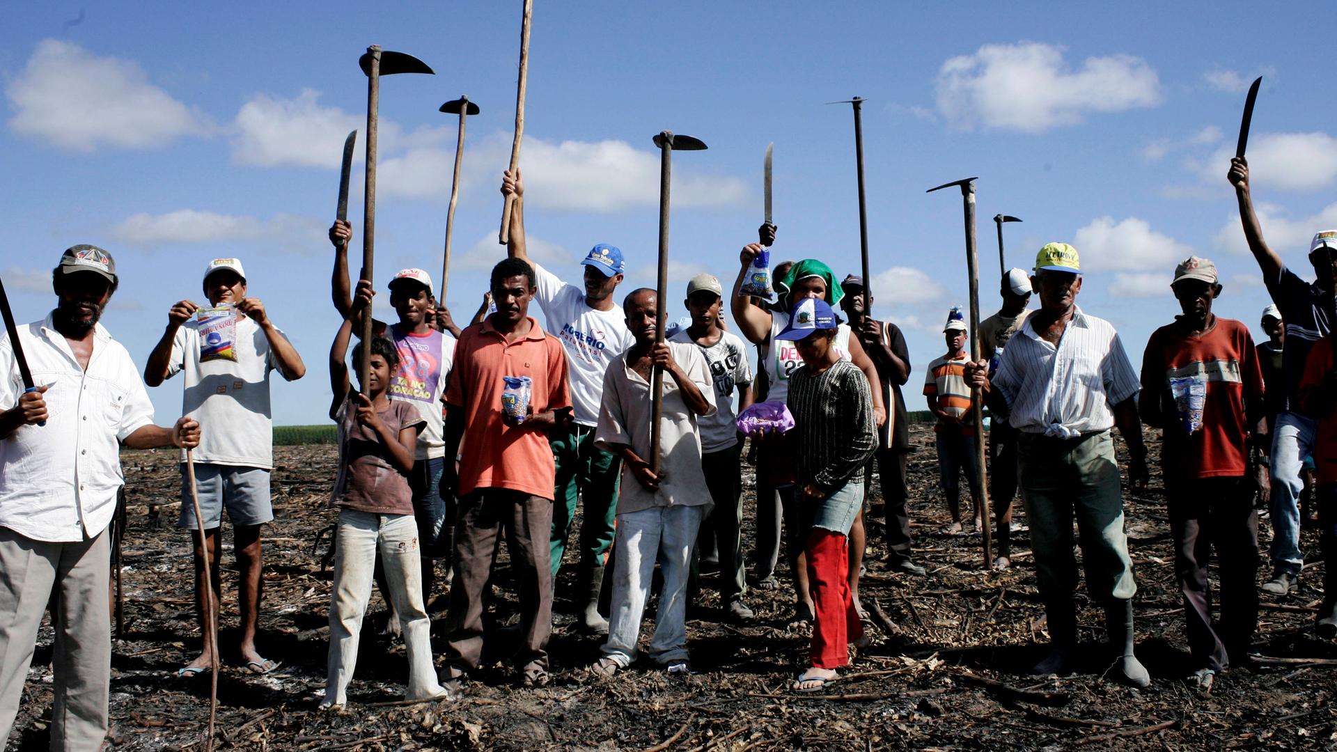Mitglieder der Bewegung Luta pela Terra - MLT - besetzen einen Bauernhof mit Eukalyptusplantagen in der ländlichen Umgebung der Stadt Eunapolis in Brasilien.