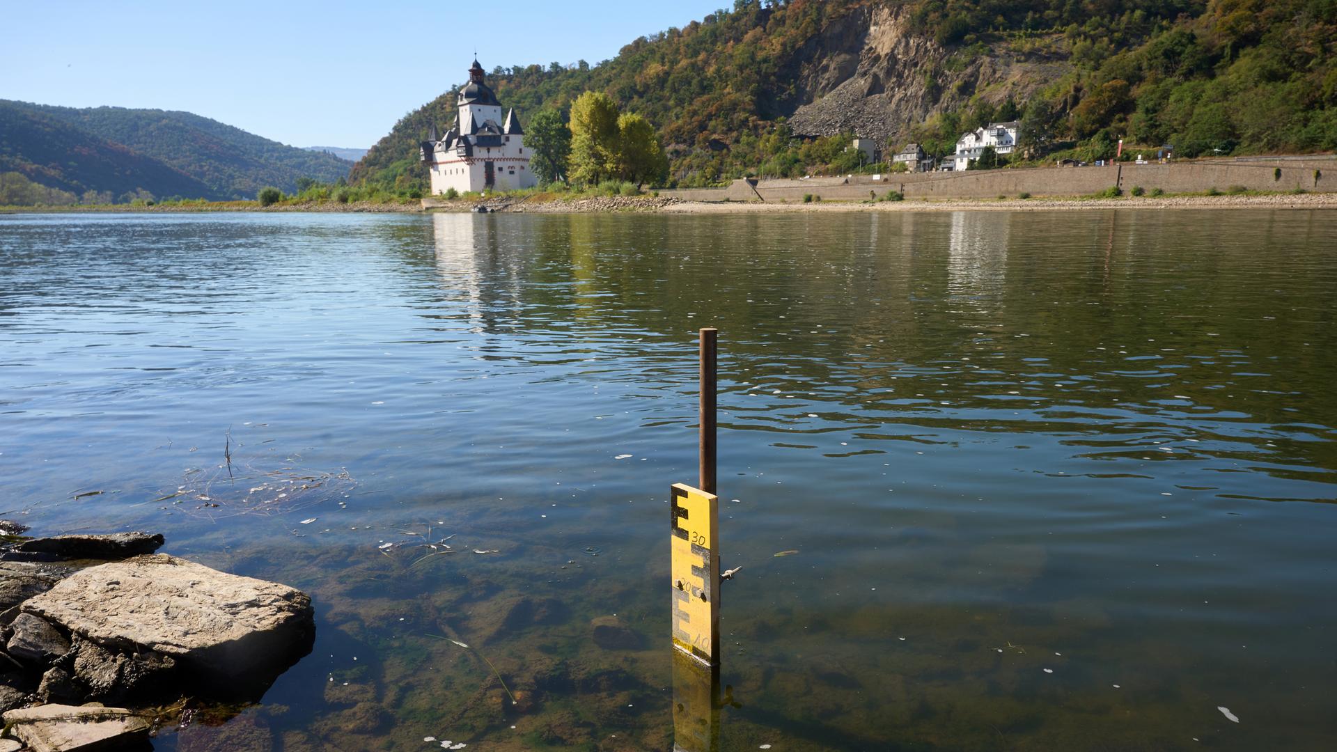 Man sieht den analogen Pegel im Rhein bei Kaub.