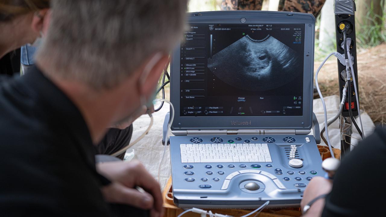 Die Forscher sehen die Bilder der Ultraschallsonde aus dem Nashorn-Uterus auf einem Spezial-Laptop an