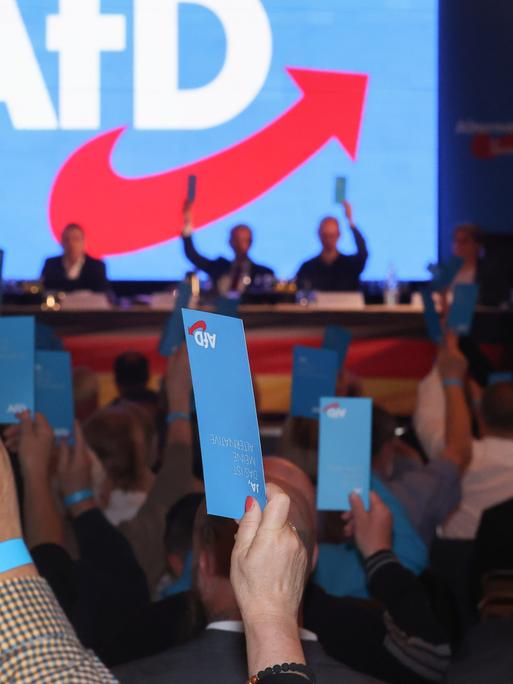 Delegierte stimmen mit ihrer Stimmkarte beim Landesparteitag der AfD ab. 