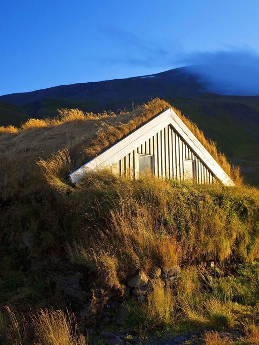 Ein Holzhaus mit Grassodendach in Island im Abendlicht.