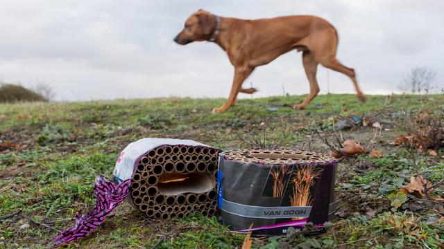 Hinter einer ausgebrannten Böllerbatterie geht leicht unscharf ein Hund vorbei.